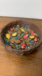 Woodland Sensory Filler
